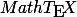 Math\TeX Math\TeX